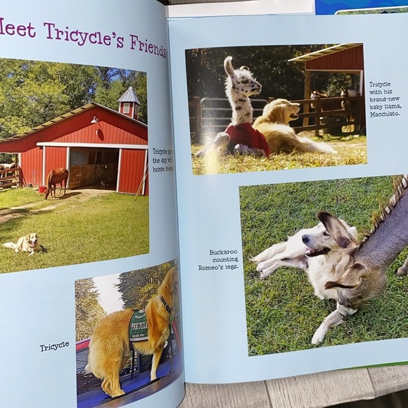 Tricycle and Friends childrens hardback book - Picture 11 of 13